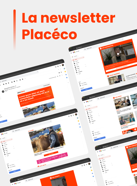 Site Placéco CMS personnalisé SEO intégré optimisation chargement mobile UX fluide contenus éditoriaux riches Site Placéco CMS personnalisé SEO intégré optimisation chargement mobile UX fluide contenus éditoriaux riches