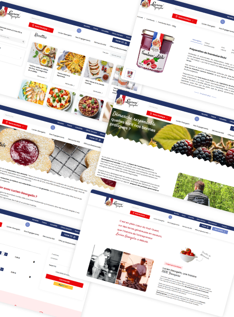 integration api erp logistique gestion commandes stocks lots prestashop lucien georgelin