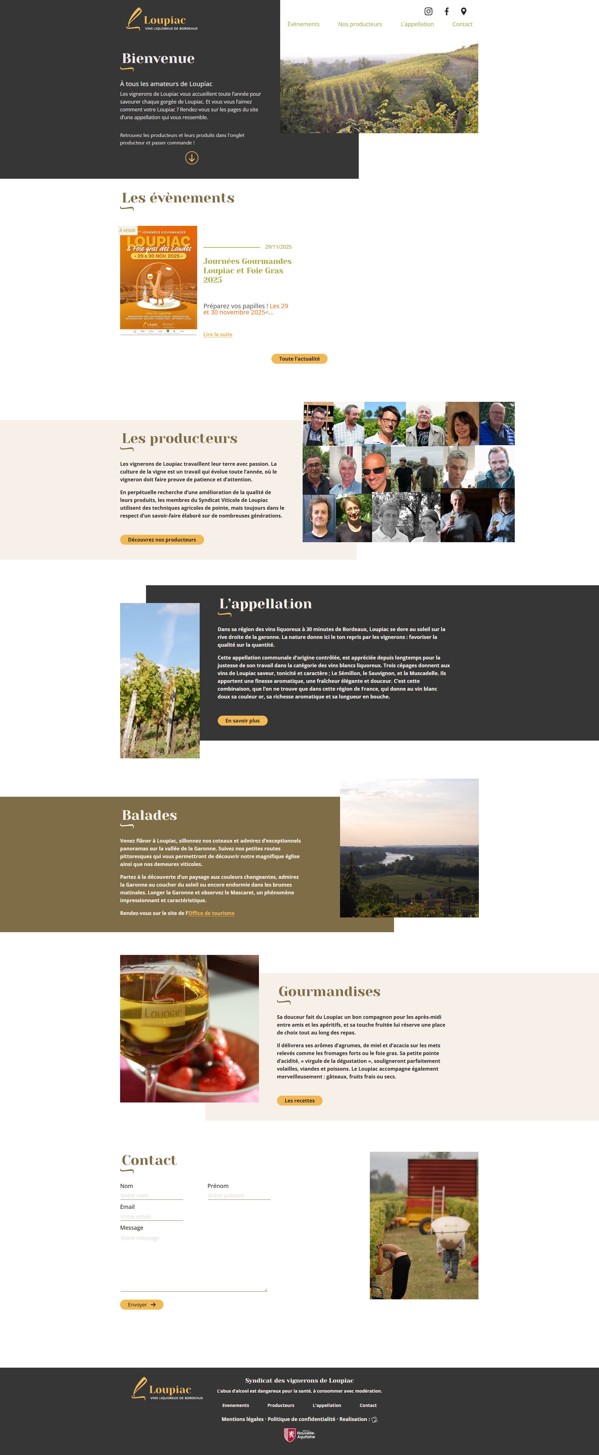 site vitrine vins Loupiac WordPress responsive vignerons stratégie SEO refonte identité