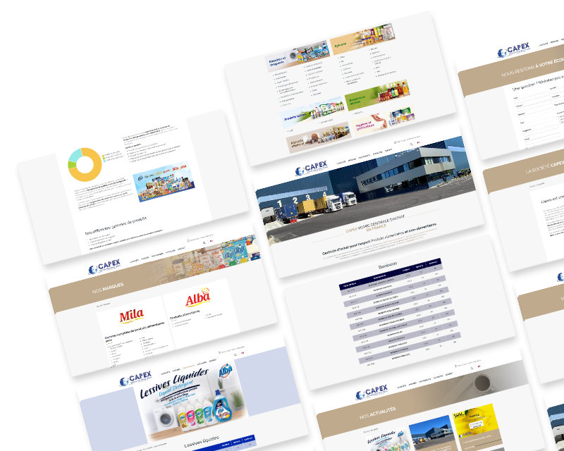 
                                                                                                            projet.values.image_listing_mobile.alt
                                                    