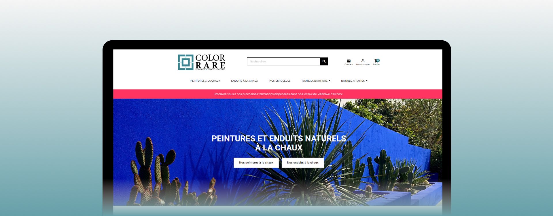 Refonte site Color Rare migration WordPress PrestaShop expérience claire moderne éco-participation
