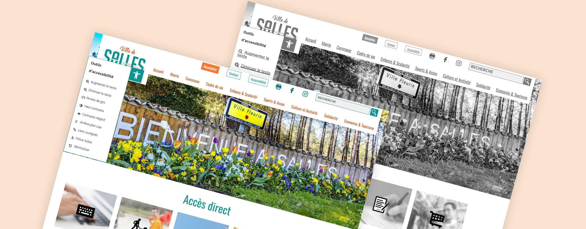 plateforme institutionnelle inclusion numérique administration électronique standards rgaa ux ui